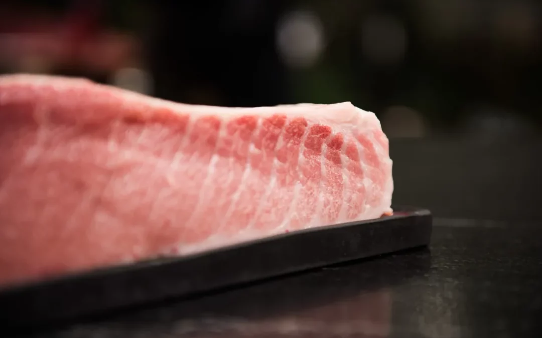 Bluefin Tuna Wholesale Price
