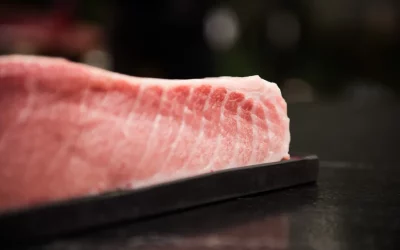 Bluefin Tuna Wholesale Price